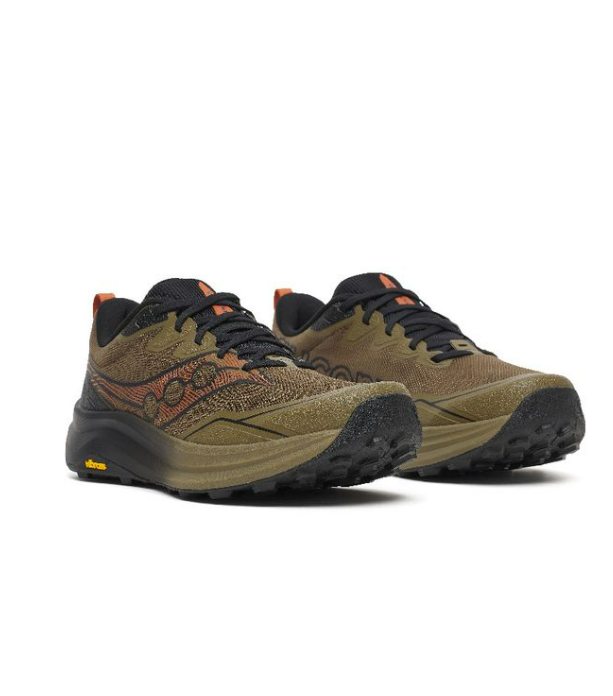 Saucony Chaussure Peregrine 16