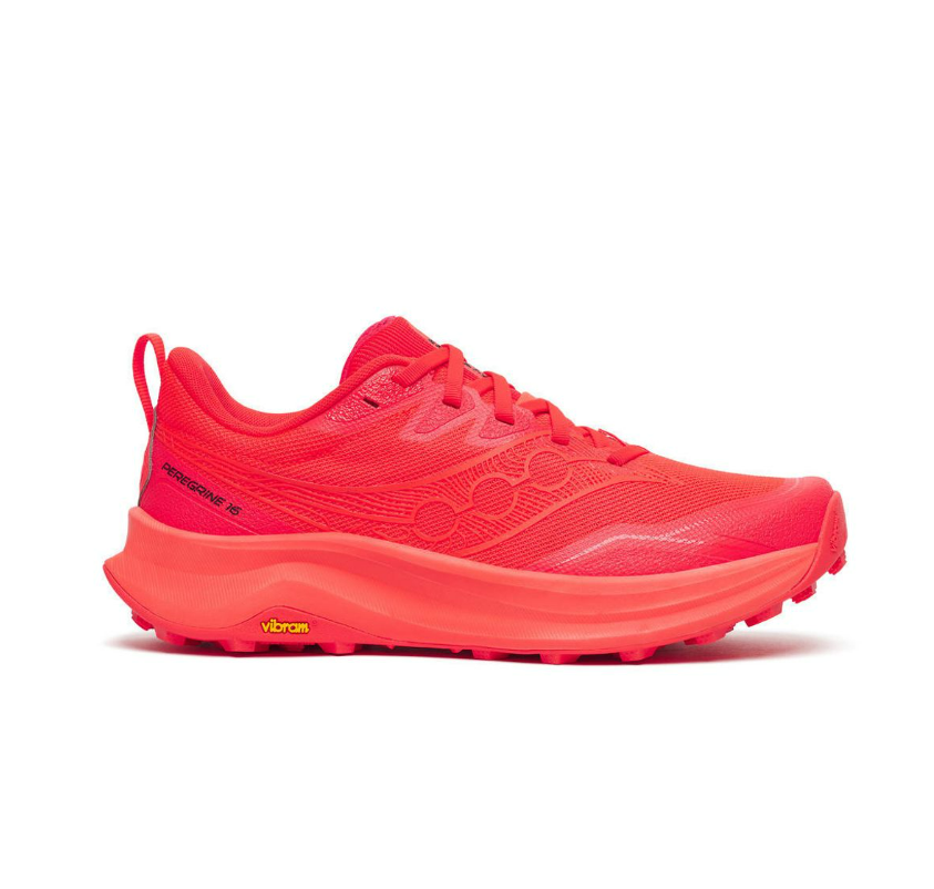 Saucony Chaussure Peregrine 16