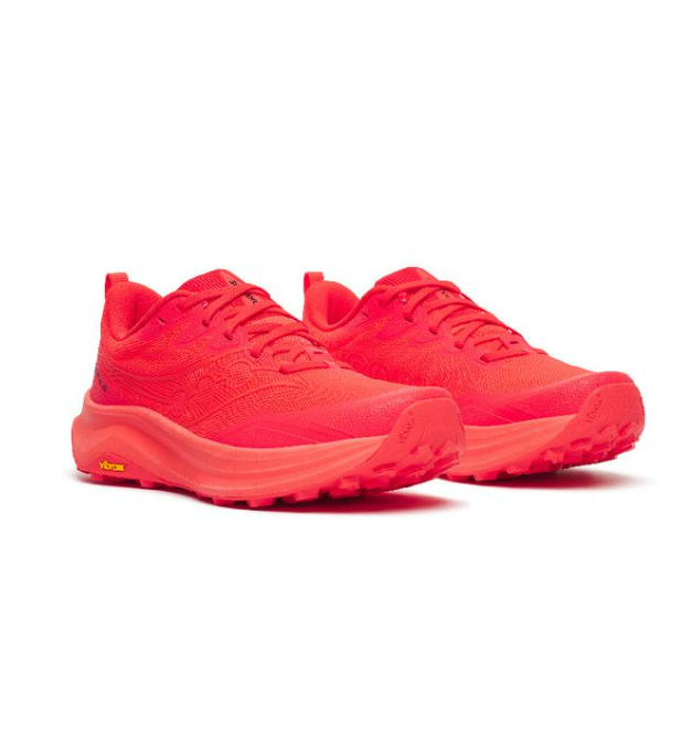 Saucony Chaussure Peregrine 16