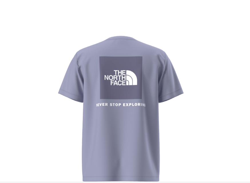 The North Face T-Shirt Evolution Box (6 à 16 ans)