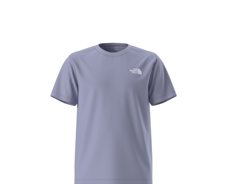 The North Face T-Shirt Evolution Box (6 à 16 ans)