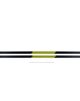 Fischer Ski Twin Skin Performance Stiff