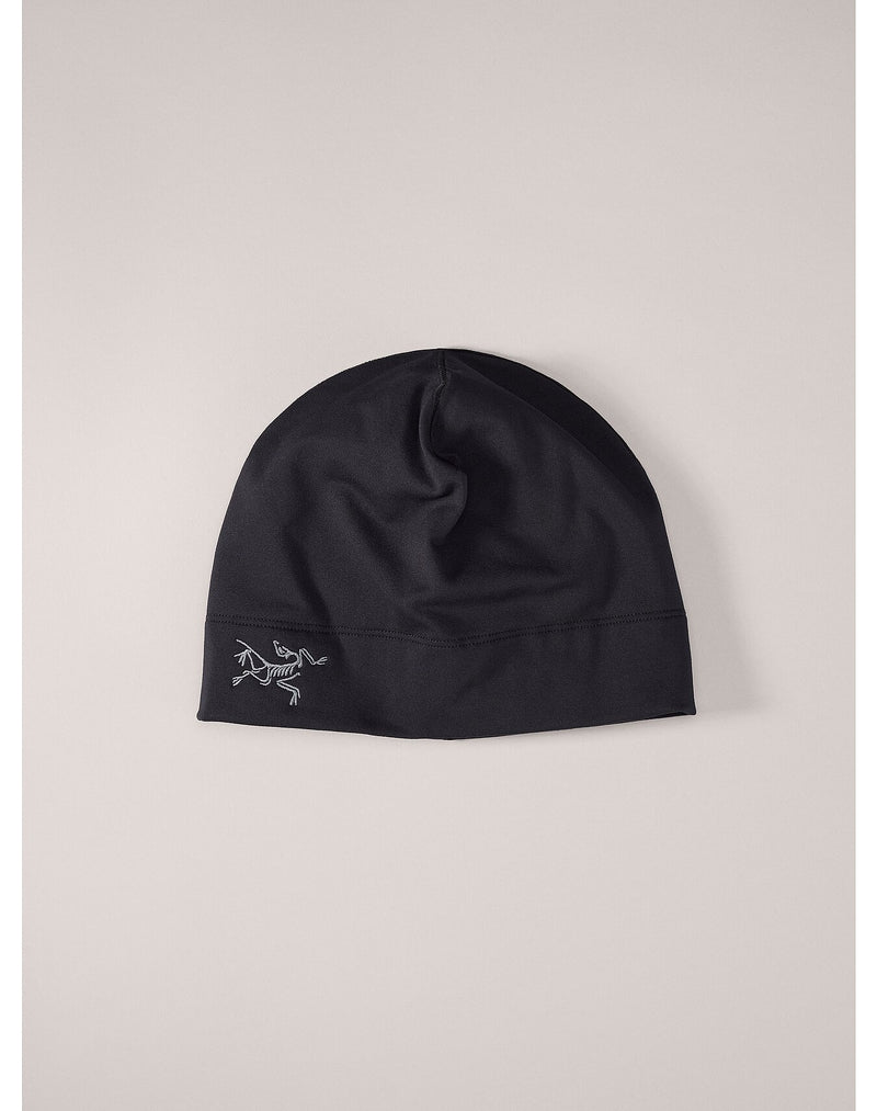 Arc'Teryx Rho Toque