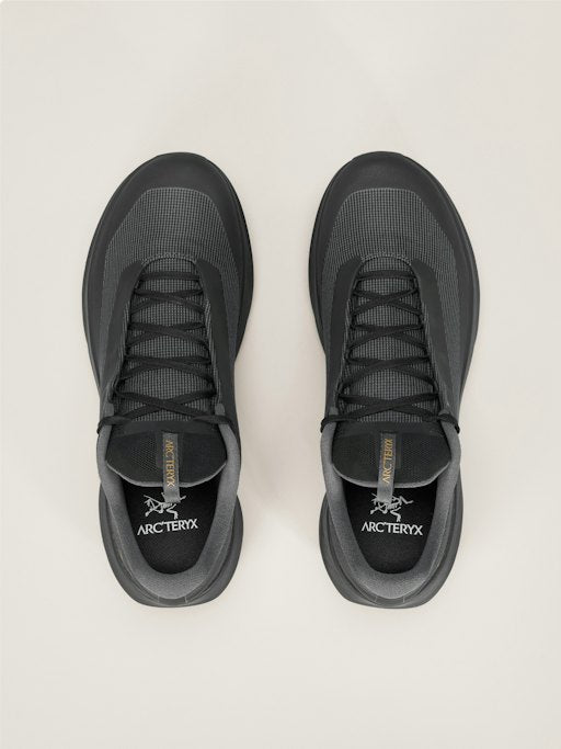 Arc'teryx Chaussure Norvan LD 4 GTX