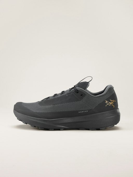 Arc'teryx Chaussure Norvan LD 4 GTX