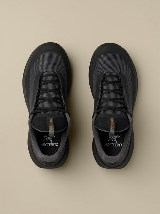 Arc'teryx Chaussure Norvan LD 4 GTX