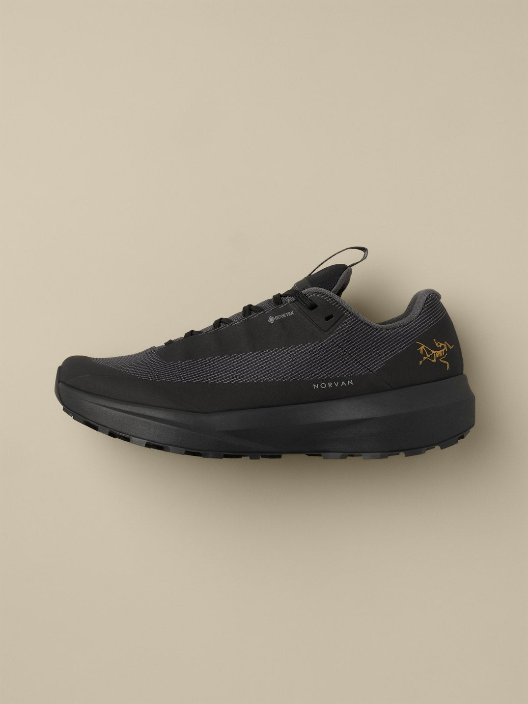 Arc'teryx Chaussure Norvan LD 4 GTX
