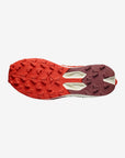 Salomon Chaussure Pulsar 4 (Unisexe)