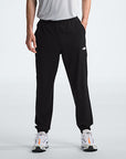 The North Face Pantalon Wander