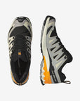 Salomon Chaussure XA Pro 3D V9