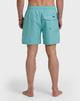 Quiksilver Short Everyday Solid