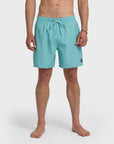 Quiksilver Short Everyday Solid