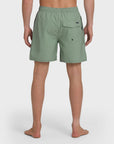 Quiksilver Short Everyday Solid