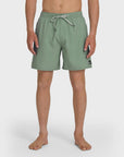 Quiksilver Short Everyday Solid