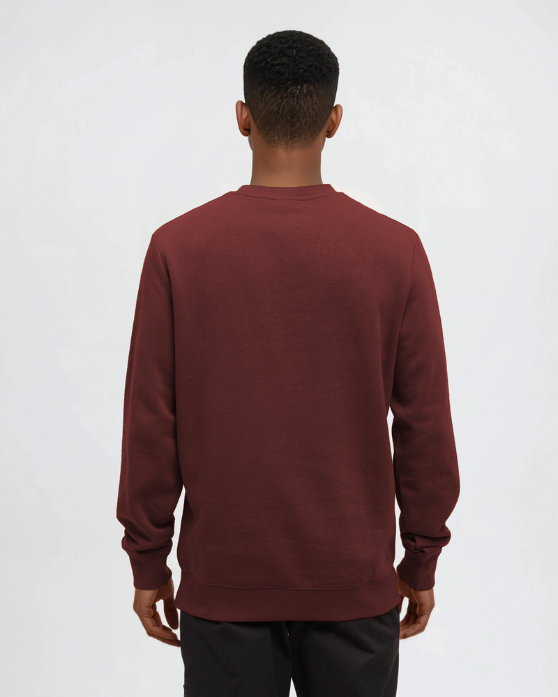 Tentree Chandail Reynard