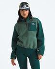 The North Face Polar Yumiori 1/4 Zip