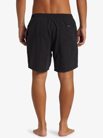 Quiksilver Short Everyday