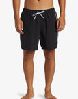 Quiksilver Short Everyday