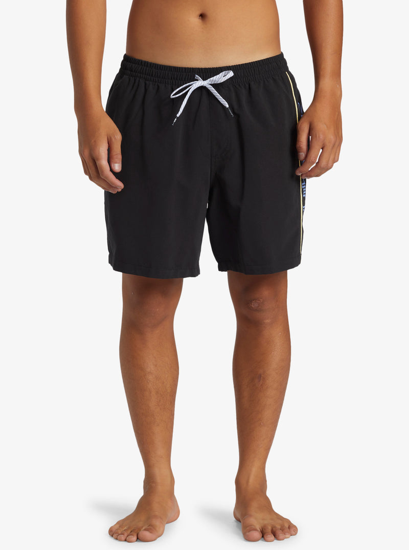 Quiksilver Short Everyday