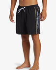Quiksilver Short Everyday