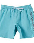 Quiksilver Short Everyday