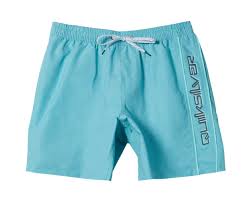 Quiksilver Short Everyday