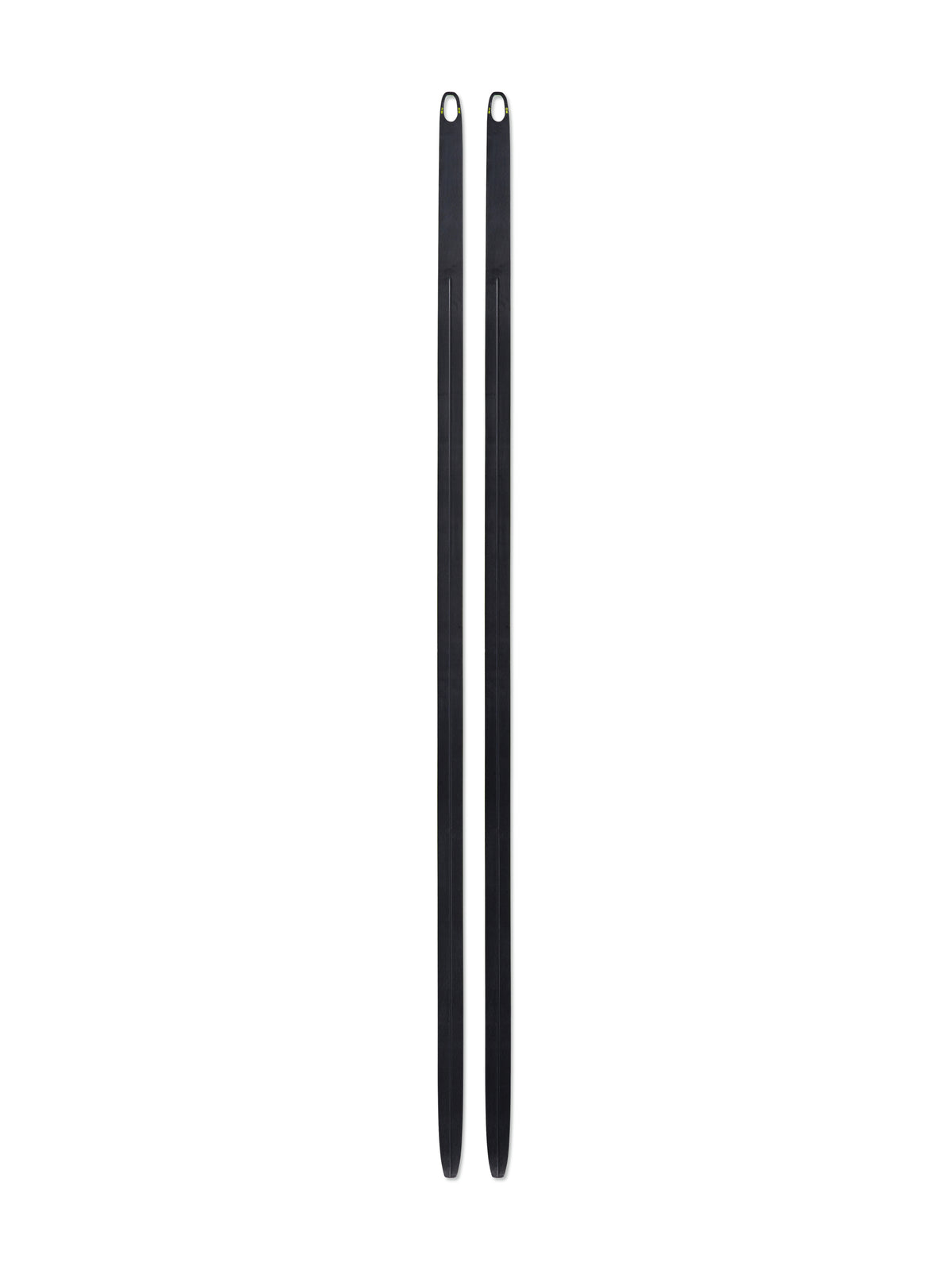 Fischer Ski Speedmax 100HE Skate Plus 610 Stiff