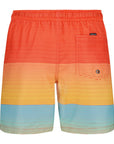 Quiksilver Short Maillot Everyday (8 à 18 ans)