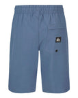 Quiksilver Short Taxer Amphibian (8 à 18 ans)
