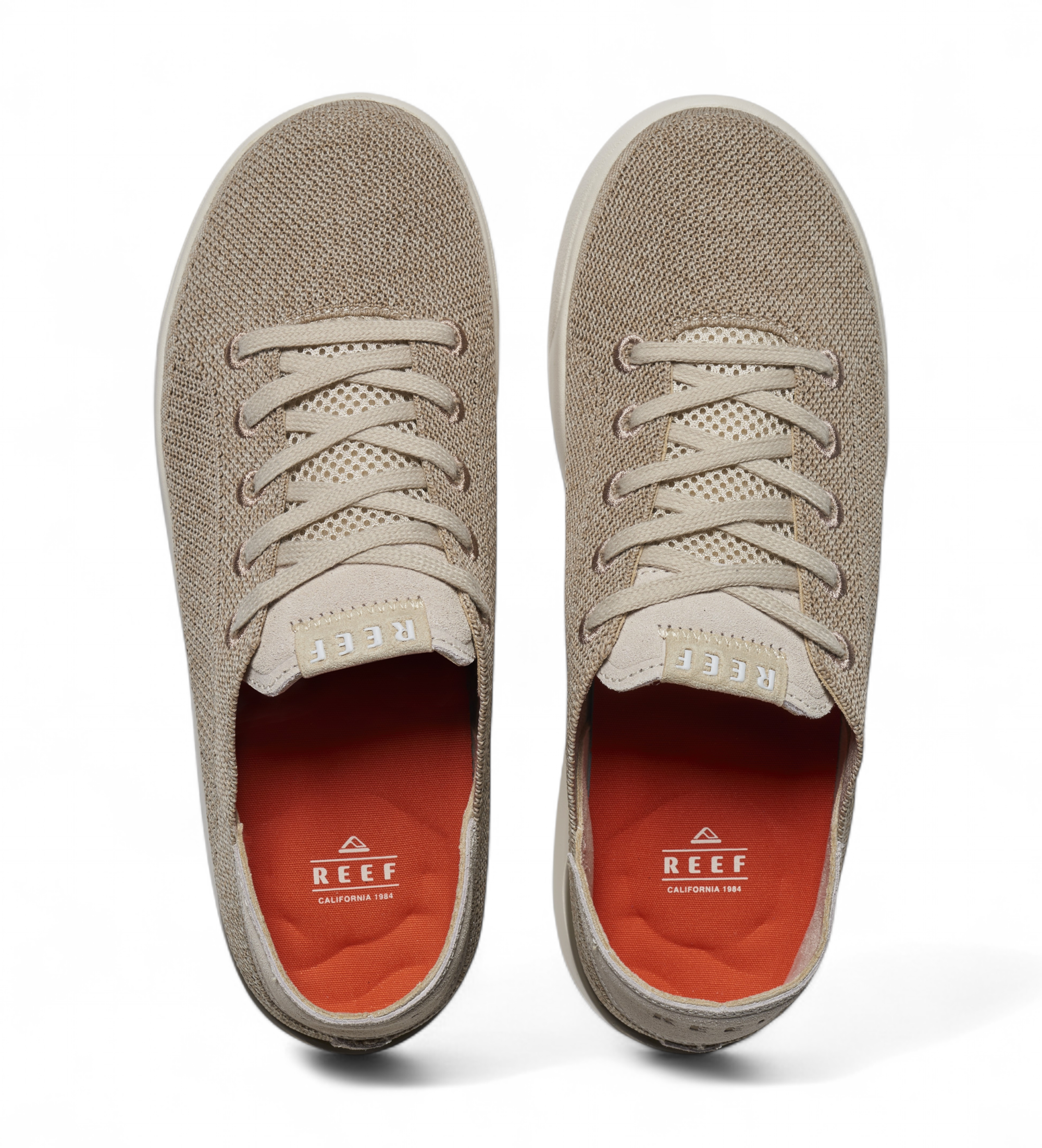 Reef Chaussure Swellsole Neptune