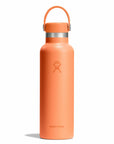 Hydro Flask Bouteille 21 Oz Standard