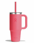 Hydro Flask Tasse 24 Oz Travel Tumbler
