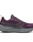 Saucony Chaussure Ride TR32 GTX