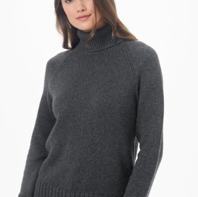 TenTree Chandail Hight Wool Turtleneck