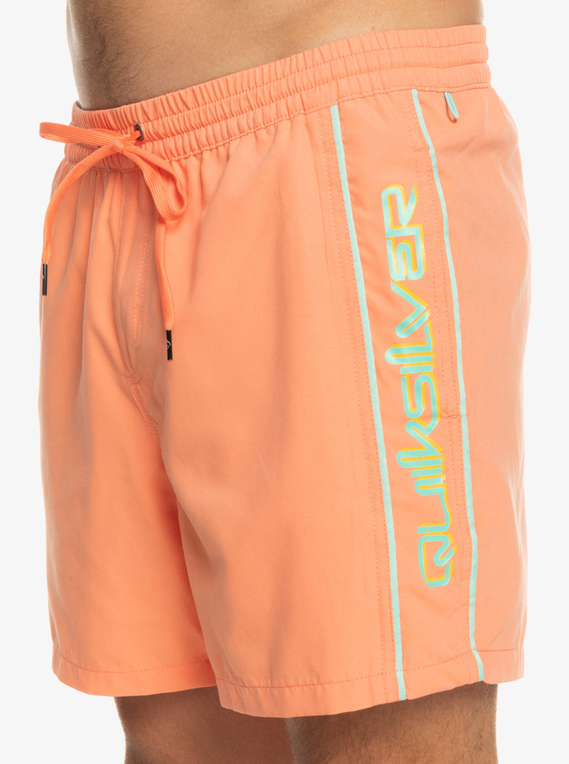 Quiksilver Short Everyday Vert